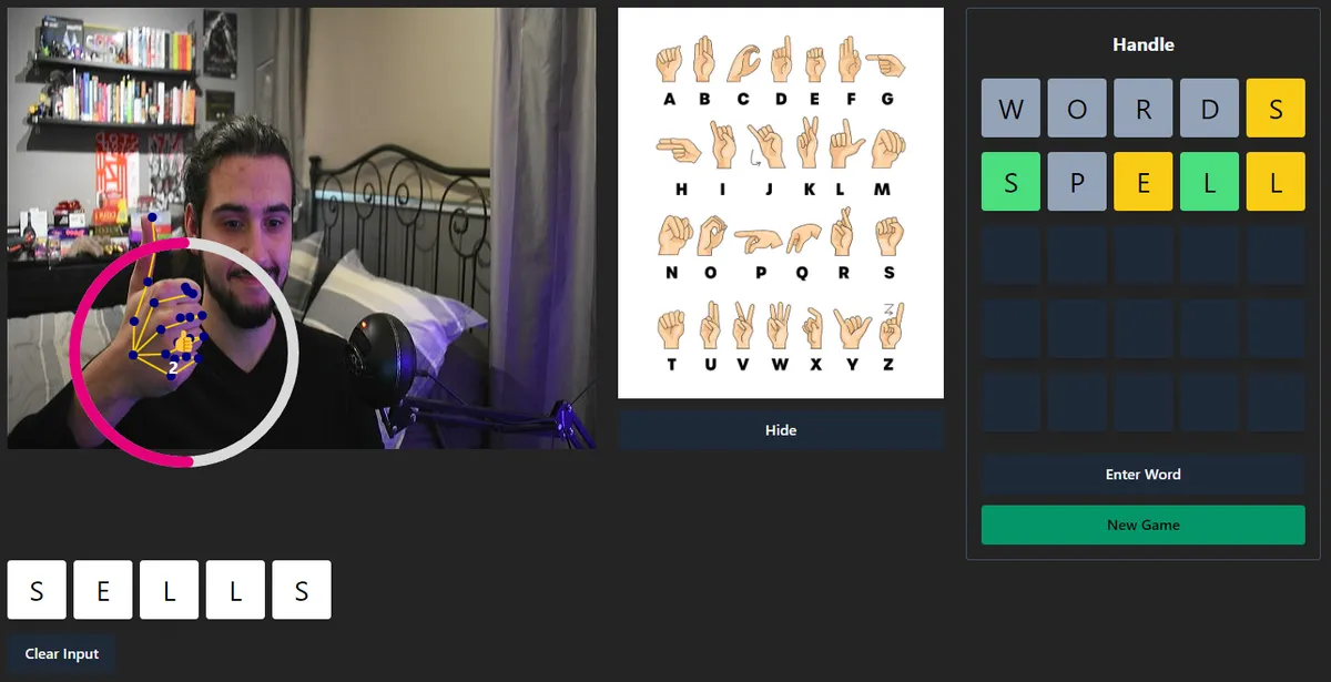 Handle project preview